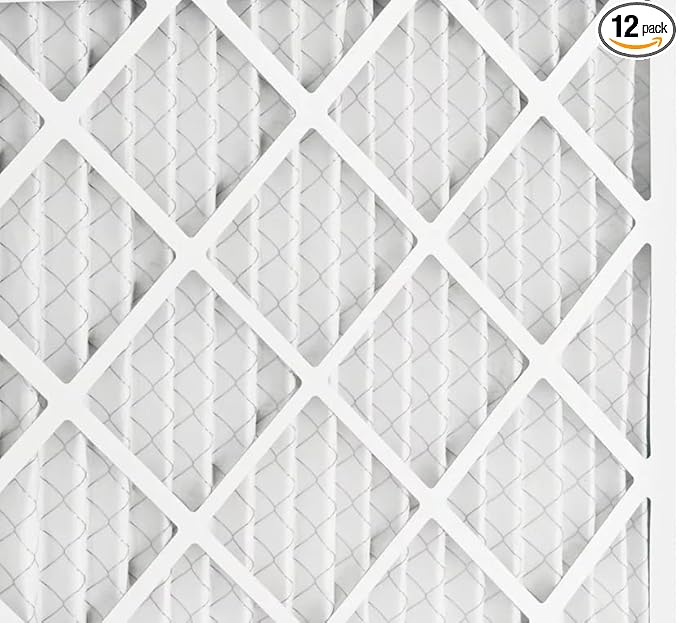 BNX TruFilter 16x24x1 Air Filter MERV 13 (12-Pack) - MADE IN USA - Electrostatic Pleated Air Conditioner HVAC AC Furnace Filters for Allergies, Pollen, Mold, Bacteria, Smoke, Allergen, MPR 1900 FPR 10