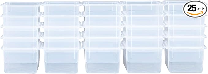 Wood Designs Cubby Storage Bin, Heavy Duty Plastic Containers for Kids Translucent Clear Cubby Tray Set of 25