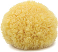 Neptune Caribbean Sea Sponge, Hand Cut, Medium, Approx. 5-6 inches
