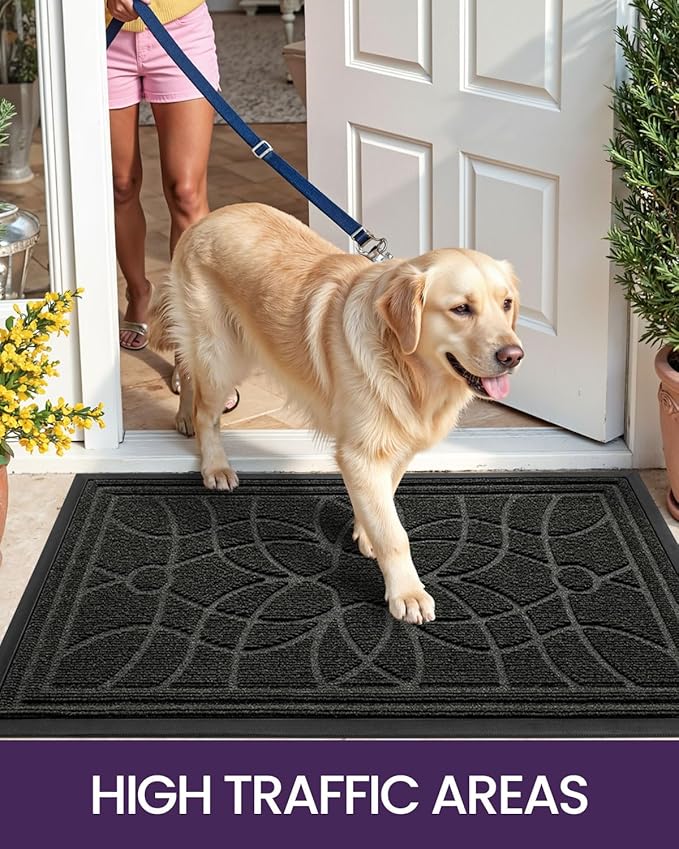 DEXI Front Door Mat Outside Entrance, Heavy Duty Non Slip Low Profile Doormat for Entryway, Trap Dirt and Moisture Welcome Mats, Easy Clean, Patio, Garage, 4x2, Black