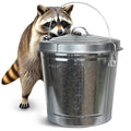 Plexon 10 Gallon Trash Can with Lid Outdoor Galvanized Metal Bucket with Locking Lid for Poultry Feed Bird Seed Storage Ash Garbage Trash Bin