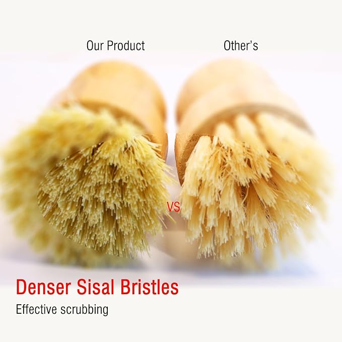 Natural Bristle Dish Brush Set, 1 Wooden Dish Brush and 1 Bamboo Dish Brush with 1 Bamboo Drainer Tray, All Circle Kitchen Scrub Brush for Dishes