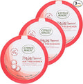 Citrus Magic Holiday Odor Absorbing Solid Air Freshener, Holly Jolly Peppermint, 7-Ounce, Pack of 3