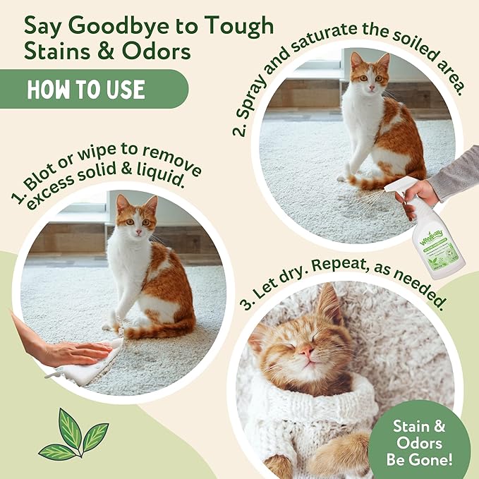 Wee Away X2 Ultra Concentrated Pet Stain and Odor Remover, Enzyme Cleaner for Cat Urine and Poop Carpet & Furniture Safe, Pet Urine Odor Eliminator Spray (Green Tea 16 oz)