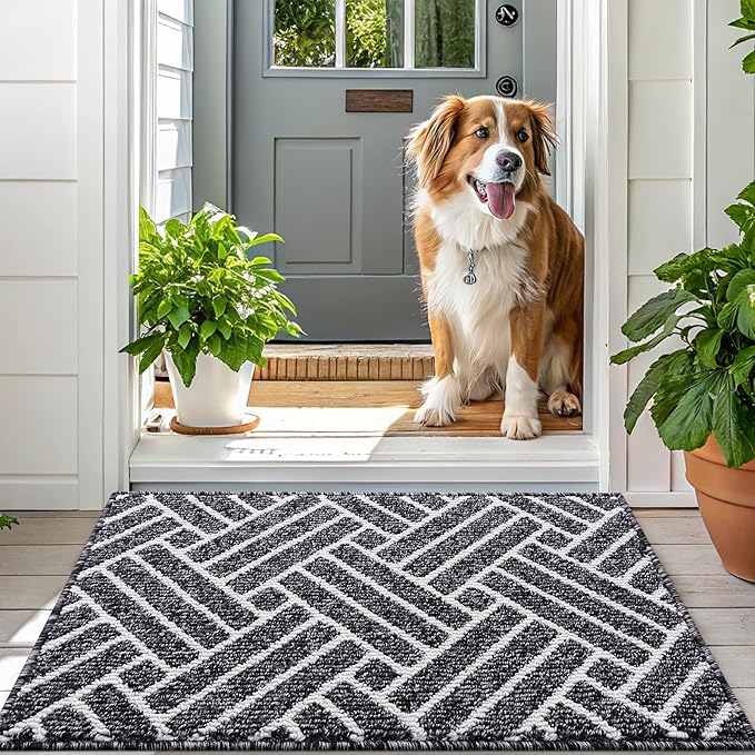 OLANLY Indoor Door Mat, 48x32 Inch, Dirt Resistant and Absorbent, Non-Slip Rubber Backing Floor Mats, Easy Clean Low-Profile Doormat for Entryway, Front Door, and Inside Entrance, Black