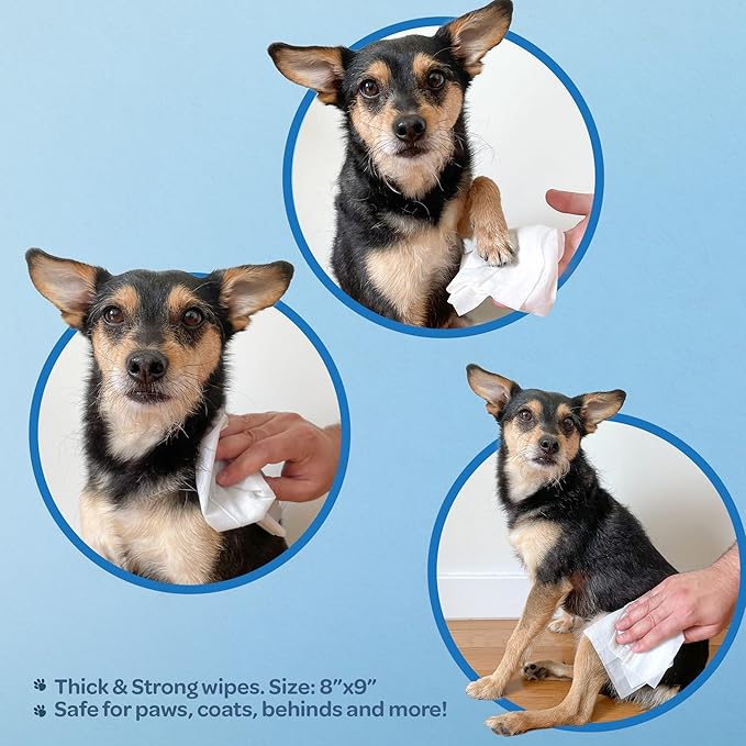 Best Pet Supplies Pet Grooming Wipes for Dogs & Cats,Deodorizer for Coats & Dry, Itchy, or Sensitive Skin, Clean Ears, Paws, Body, & Butt - Calming Lavender, 400 Count