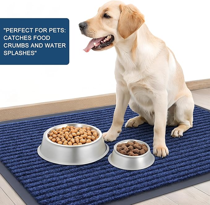 OLANLY Front Door Mat Indoor Outdoor Entrance, Waterproof Heavy Duty Doormat, Fade Resistant, Low Profile, Easy Clean Patio Porch Welcome Floor Mats for Entry, 35x23, Blue